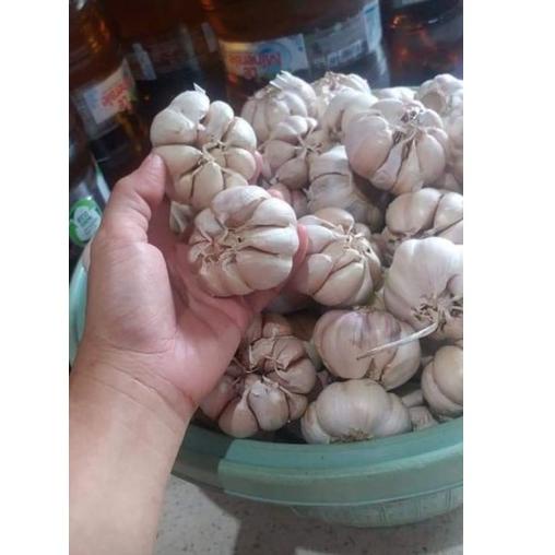 

ィ bawang putih1kg super besar premium best seller ㅲ