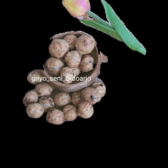 

⇨ SOES ISI COKLAT ENAK ISI 70G ⌅