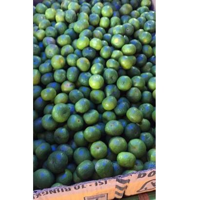 

[PRODUK 9VYHG] jeruk limau limo 1 kilogram / 1kg / kecil FVT
