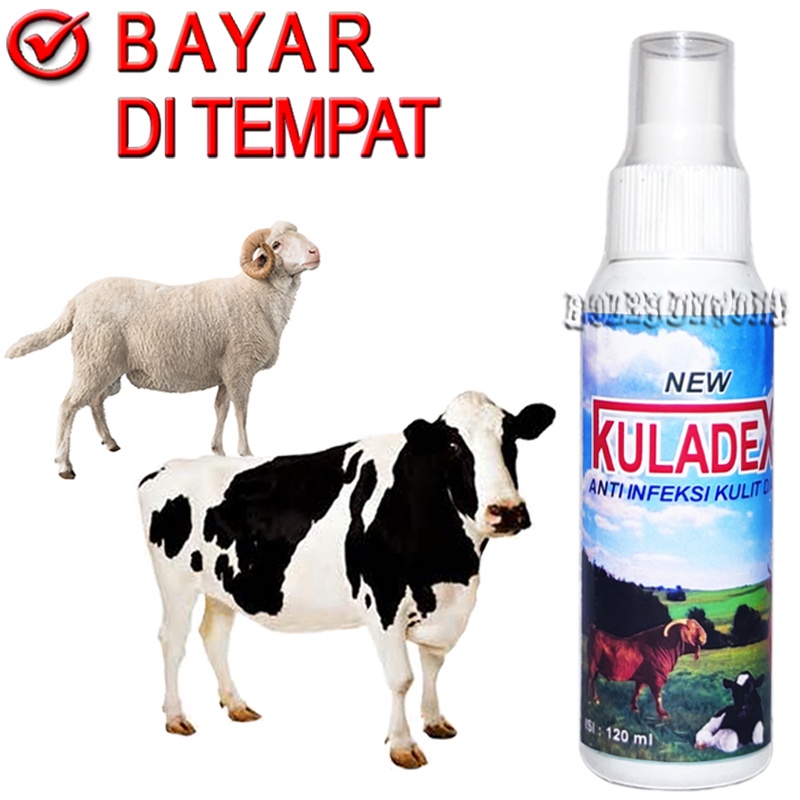 KULADEX SPRAY OBAT KORENG SAPI KAMBING GUDIX JAMUR EKSIM