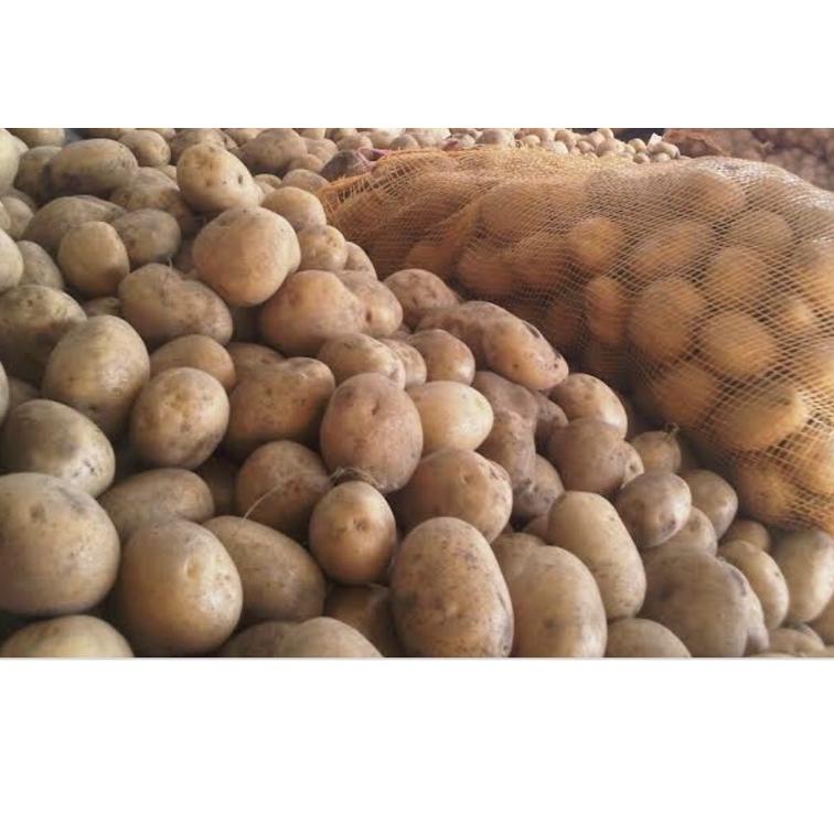 

PRODUCT TERLARIS KENTANG/KENTANG FRESH/KENTANG MENTAH..1 KG...MURAHHHHHHH ♫ 883