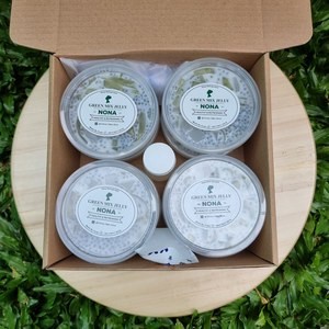 

Green Mix Jelly (Isi 8 Ximilu Txs0X-81
