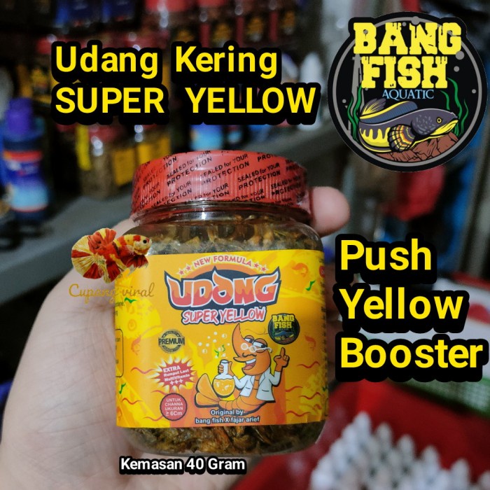 Udang Kering SUPER Yellow Bang Fish Aquatic Yellow Booster Warna