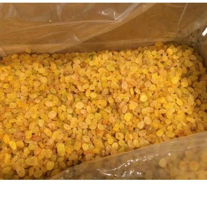 

TOP PRODUCT Kismis Simin 1kg golden Raisin manis ✡ 891