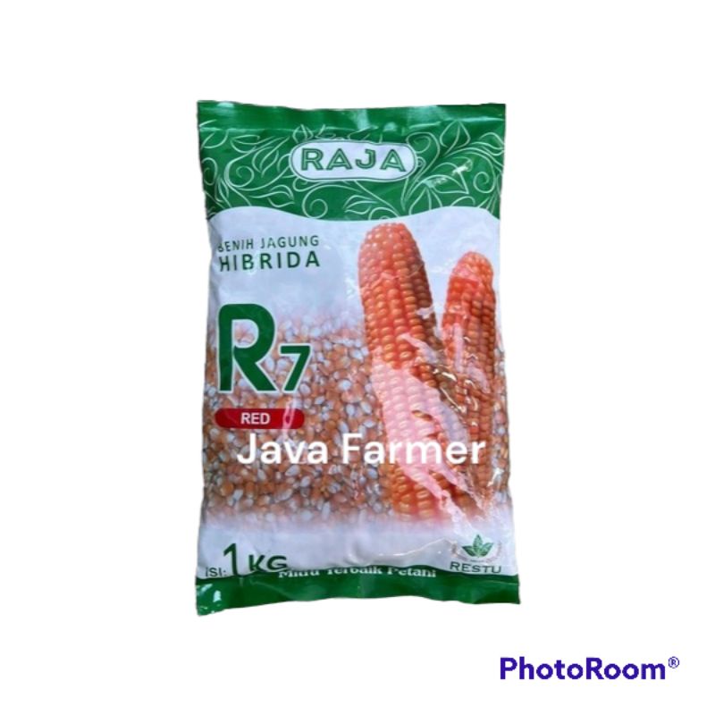 Benih Jagung Hibrida R7 Red 1kg