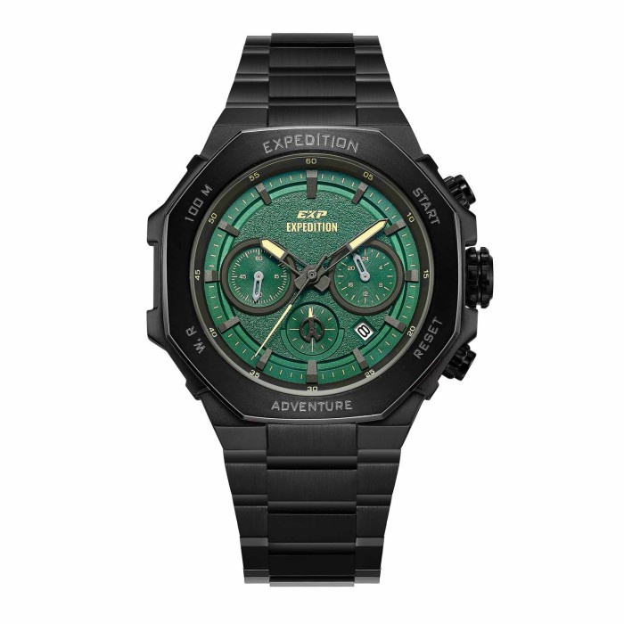 EXPEDITION 6816 BCBIPGNIV JAM TANGAN PRIA