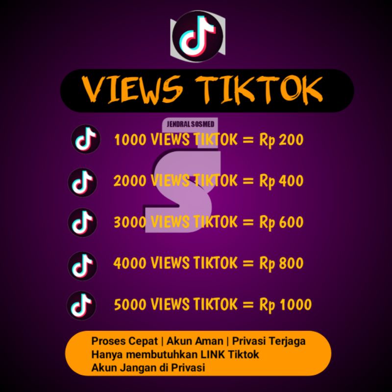 VIEWS TIKTOK