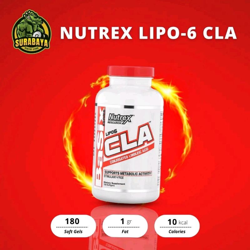 Nutrex Lipo6 Lipo 6 L Carnitine 120 Capsules L-Carnitine Lcarnitine Suplemen Gym Pembakar Lemak Fat Burner Non Stimulant Free