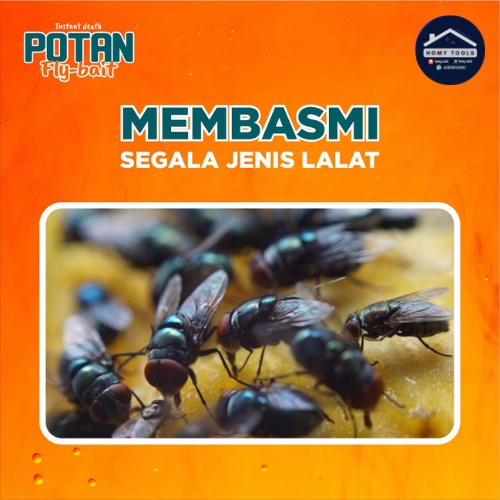 Racun Lalat, Pembasmi Lalat Buah, Obat Lalat, Anti Lalat, Pengusir Lalat