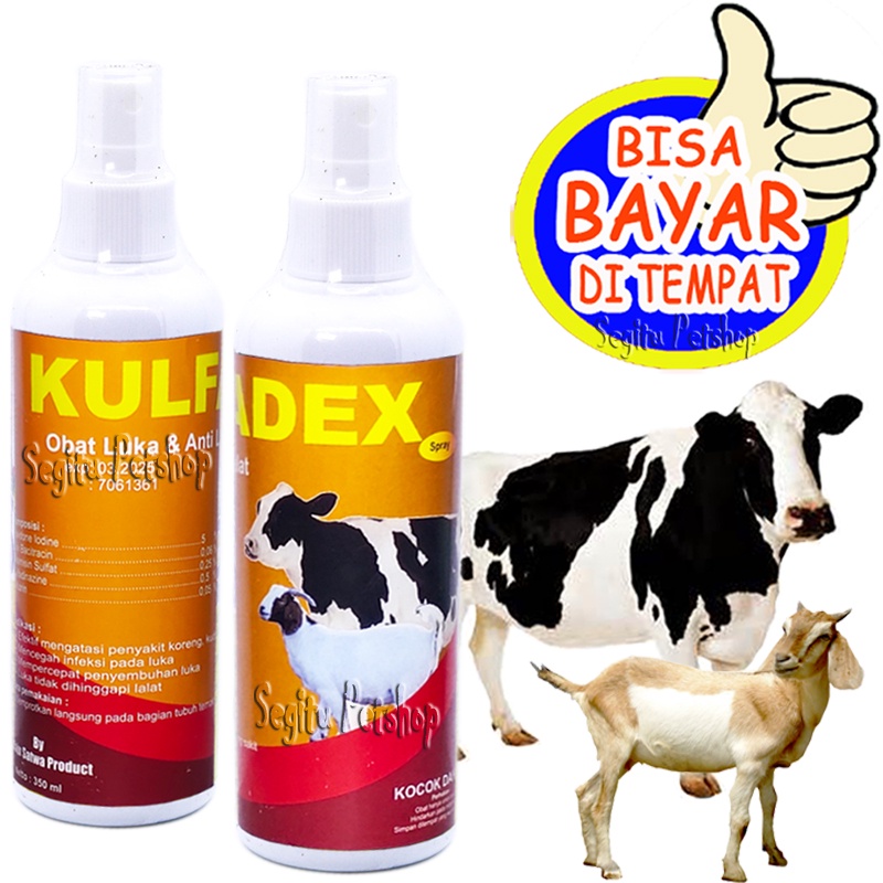 Obat Gudik Sapi Kambing Anti Lalat Infeksi Luka Kulit Kulfadex Spray