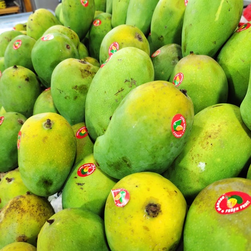 

Mangga Garum Manis Segar / Mangga Harum Manis Fresh 1 Kg (Buah Segar)