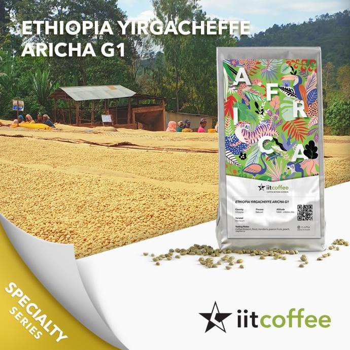

Arabica Green Beans - Ethiopia Yirgacheffe Aricha G1