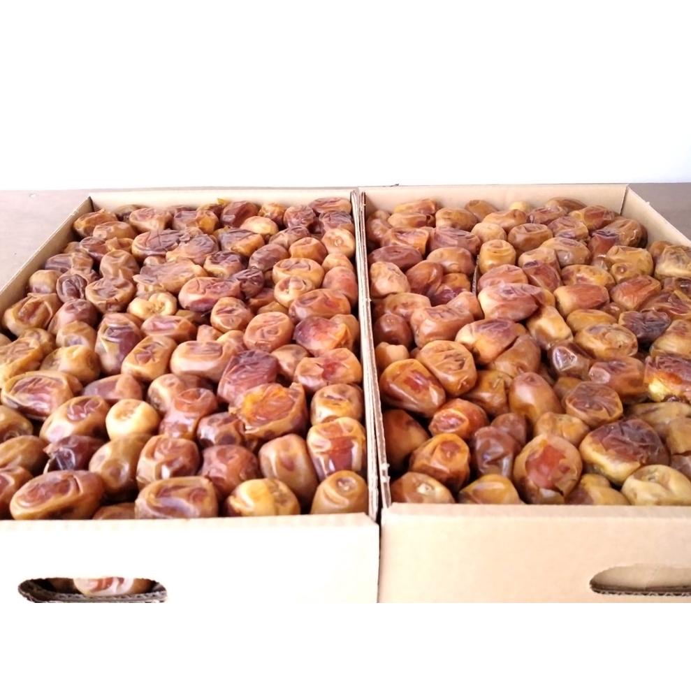 

⇘ Kurma Sukari 1 Kg Kurma Sukari Basah TANPA CAMPURAN ៛