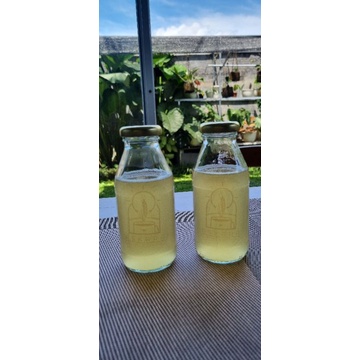 

Kombucha Green Tea -300ml