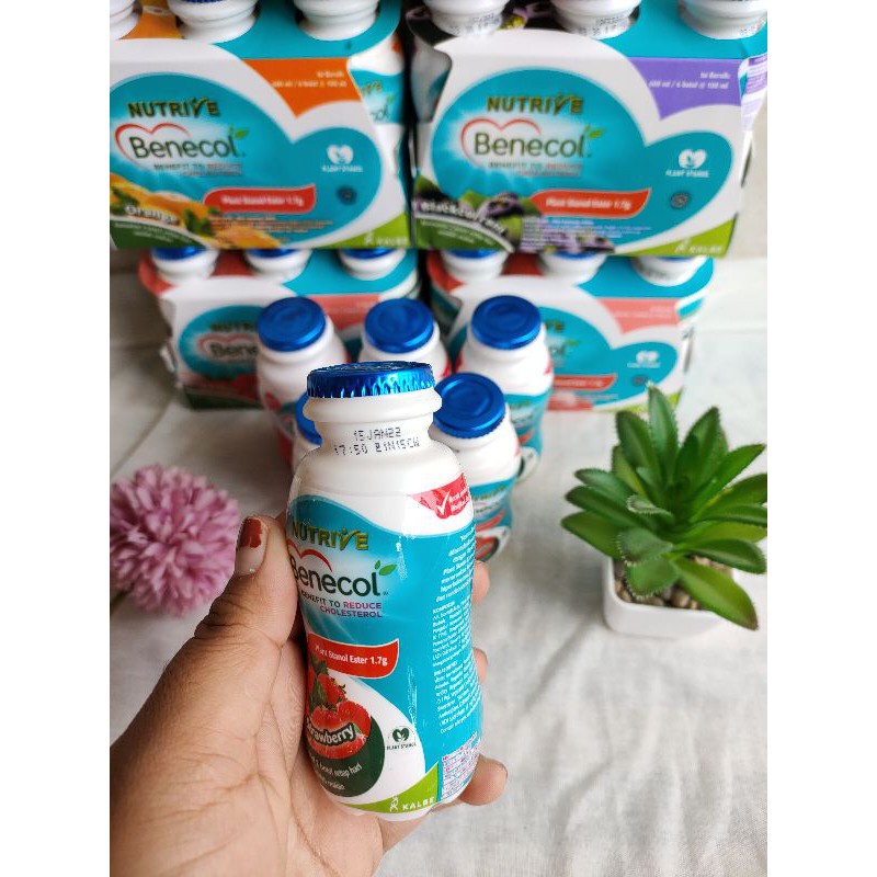 NUTRIVE BENECOL MINUMAN PENANGKAL KOLESTEROL