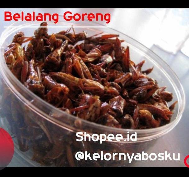 

[C-7&W ✓] Belalang Goreng Enak / Walang Goreng Kemasan Toples 100 Gram-trending