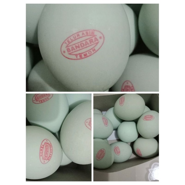 

Telur Asin BANDARA