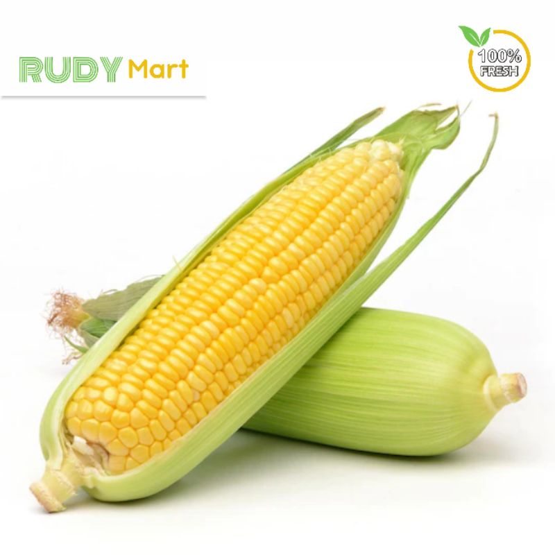 

JAGUNG MANIS 1 BUAH
