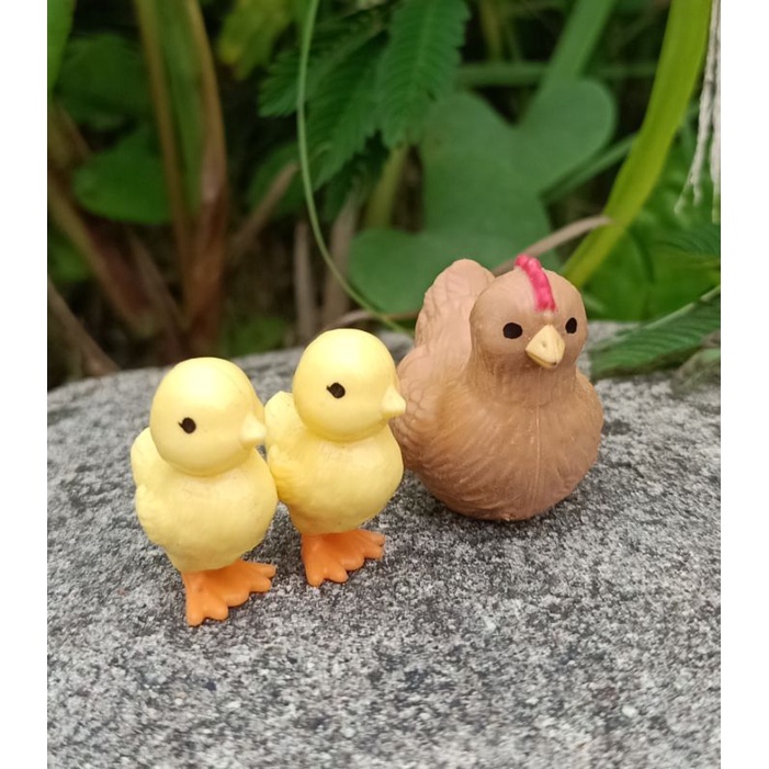 miniatur pet ayam