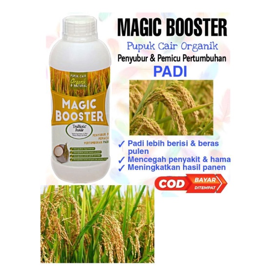 MAGIC BOSTER PADI PUPUK CAIR PEMACU BUAH LEBAT DAN PERTUMBUHAN