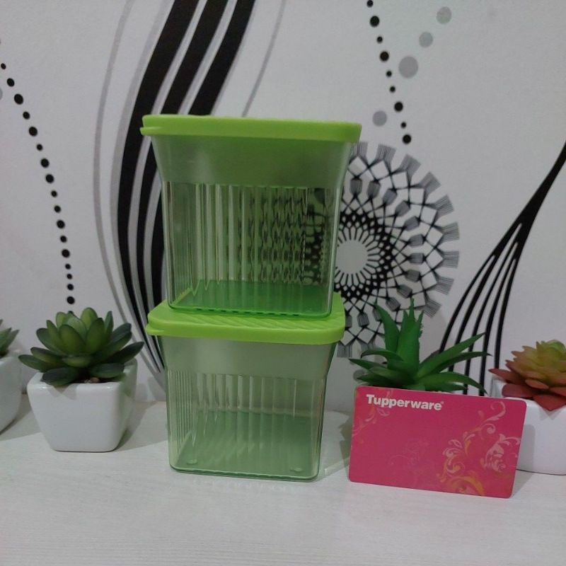 Small Family Mate (2).kotak kristal hijau elegan mewah.