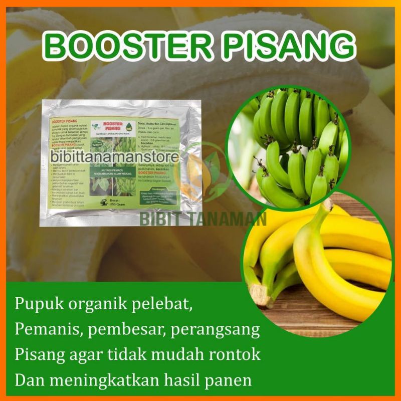 Pupuk Organik Pelebat Buah Dan Booster Pisang Cepat Berbuah Lebat