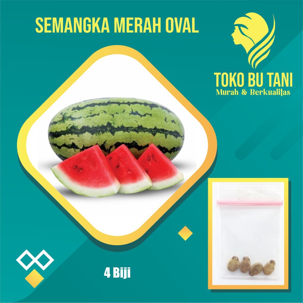 Benih Buah Semangka Merah Lonjong Bibit Buah Semangka Merah Oval Benih Buah-buahan Berkualitas