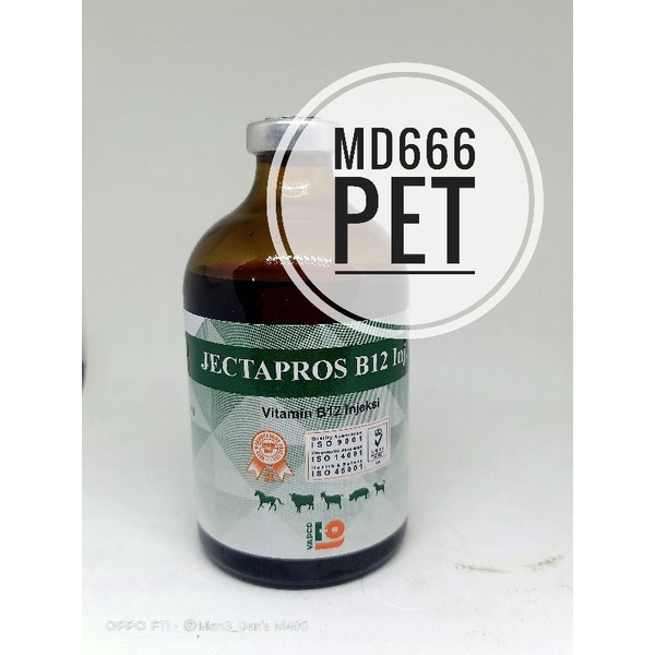 JECTAPROS B12 INJ 100 ml