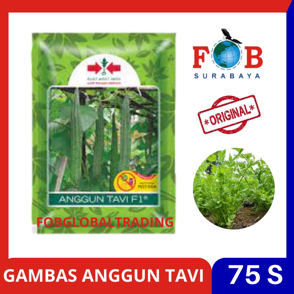 BENIH GAMBAS OYONG ANGGUN TAVI 75 BUTIR MEREK PANAH MERAH