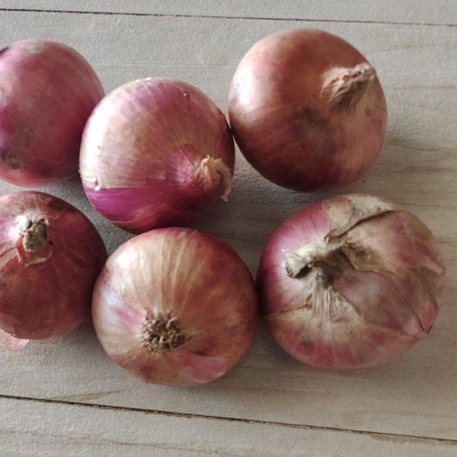 

SALE!!Bawang Khusus Live|RA3