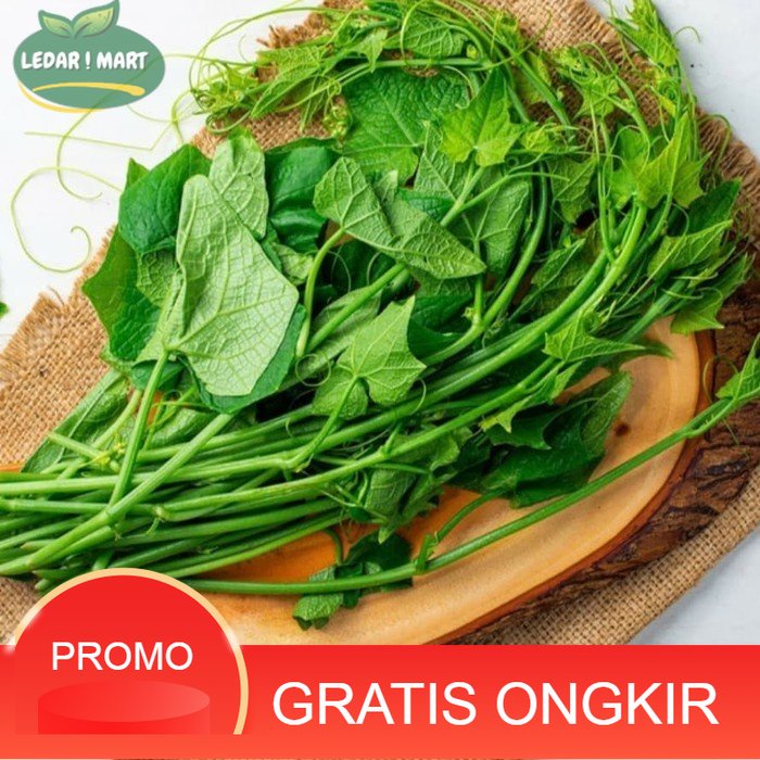 

Daun Pucuk Labu Organik Ikat