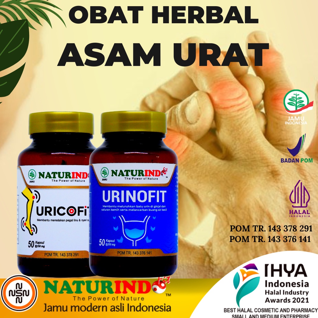 Obat asam urat herbal dan kolesterol nyeri sendi jamu paling ampuh kolestrol kaki bengkak rematik sakit tumit flu tulang Uricofit Naturindo