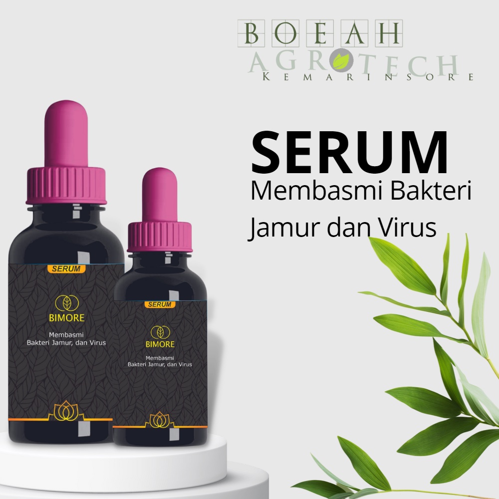 BIMORE Anti Bakteri, Serum/Obat Daun Lonyot, Busuk, &amp; Berair