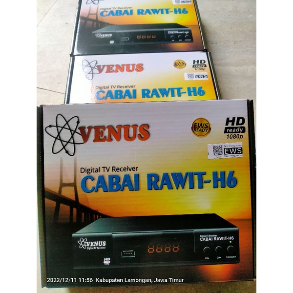 Set Top Box VENUS Cabai Rawit H6