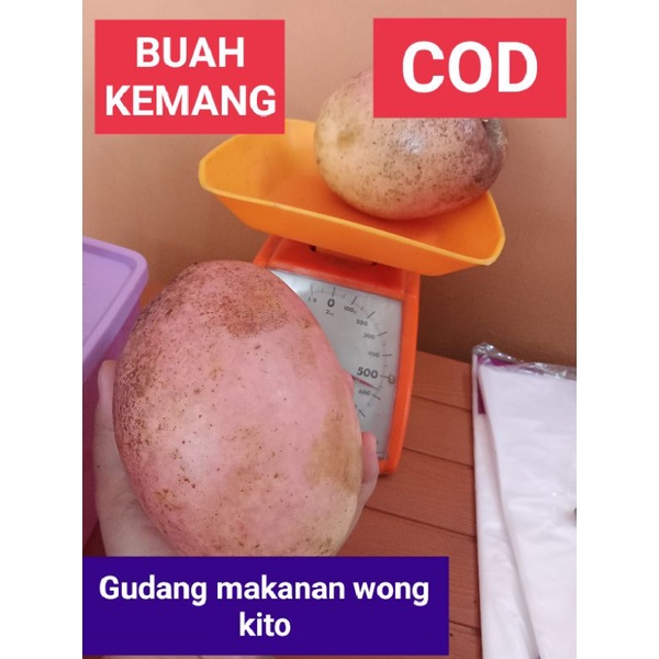 

BUAH KEMANG ASAM MANIS 1 buah