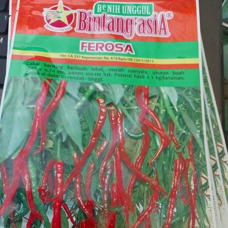 Benih Cabe Keriting Ferosa 10gr Bintang Asia