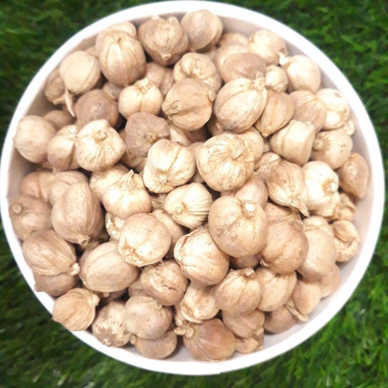 

Biji Kapulaga Jawa Asli I Java Cardamom I 50gr I Didapatkan Langsung dari Petani I 100% Kapolaga asli