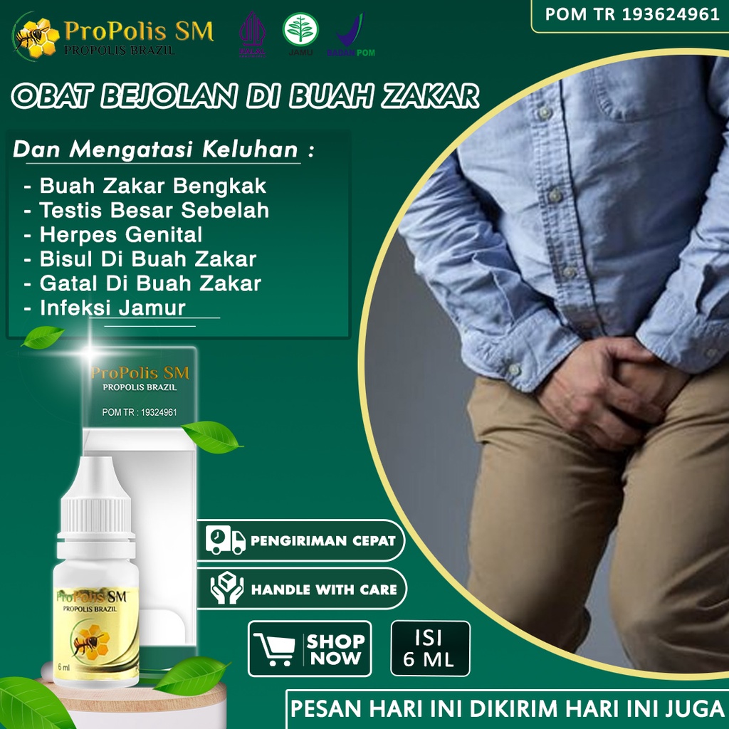 Obat Benjolan Di Buah Zakar Bengkak Gatal Lecet Varikokel Testis Besar Sebelah Bisul Di Kantung Buah