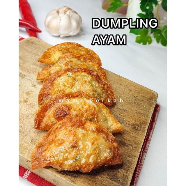 

DUMPLING AYAM