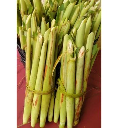 

[226] Terubuk / Tebu telur Murah Berat1Kg ❋