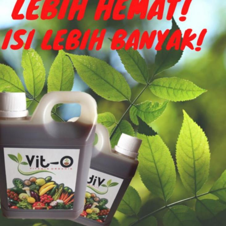 ✔️  VIT O KEMASAN 1000ML, 1 LITER