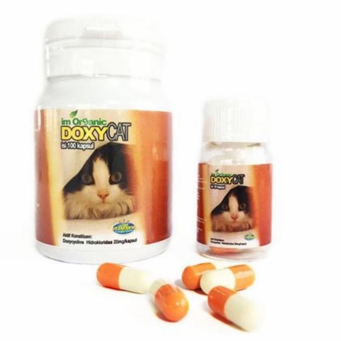 Promo Obat Flu Kucing Doxy Cat 1botol 100 Kapsul DoxyCat Im Organik Doxy Cat