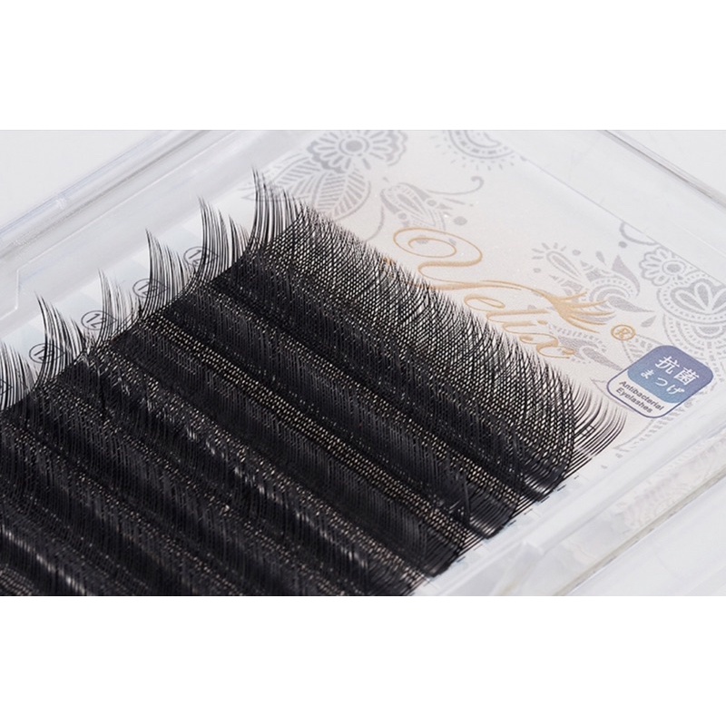 Yelix YY-Shape Lashes 12 Rows Soft For Eyelash Extansion