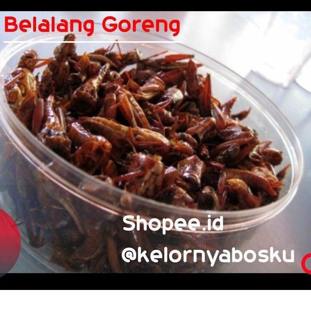 

((S-9R✓)) Belalang Goreng Enak / Walang Goreng Kemasan Toples 100 Gram amanah