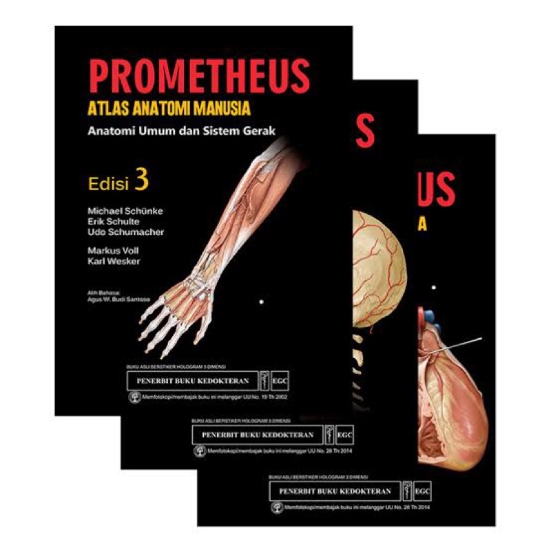 prometheus buku atlas anatomi preloved set (3 buku)
