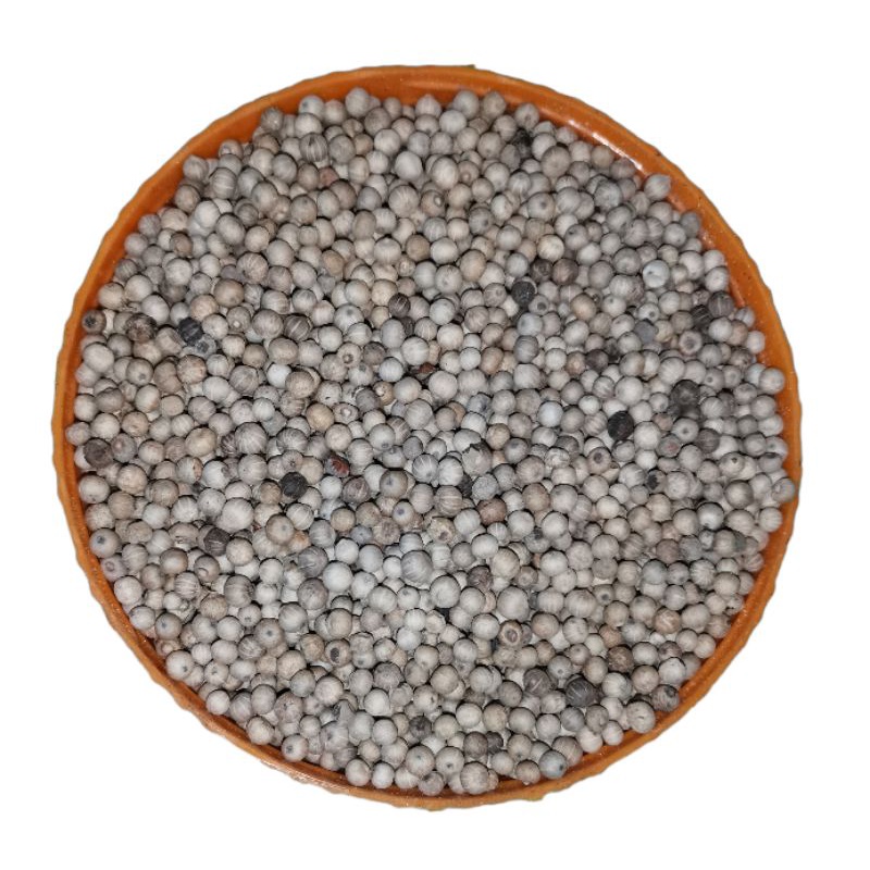 

MERICA PUTIH GREAT A BERAT 500g