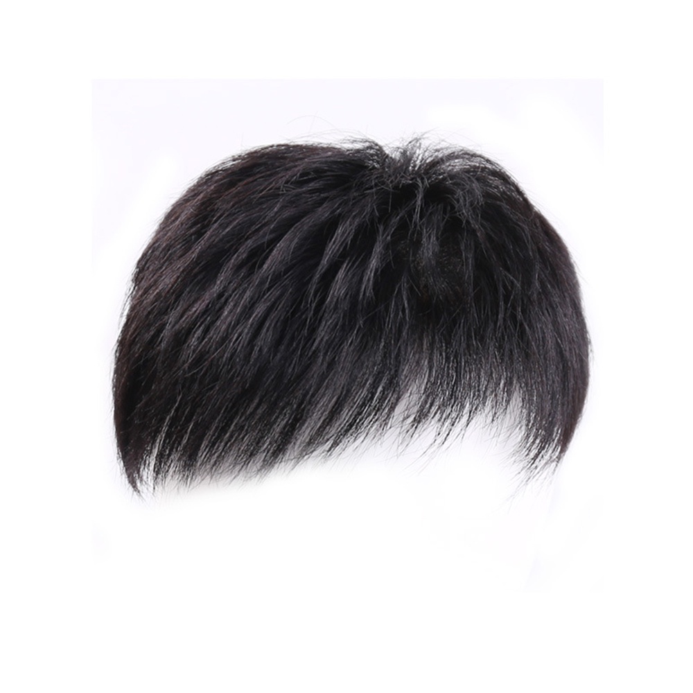 Pria Pendek Rambut Kepala Lurus Rambut Alami Wig Rambut Tampan Patch Wig 45cm