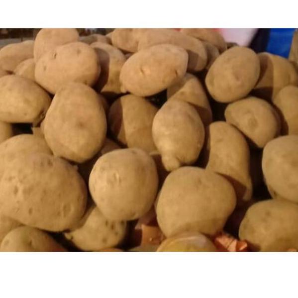 

❤[PROMO ⚡ALE!!!]❤ Kentang dieng /500 gram