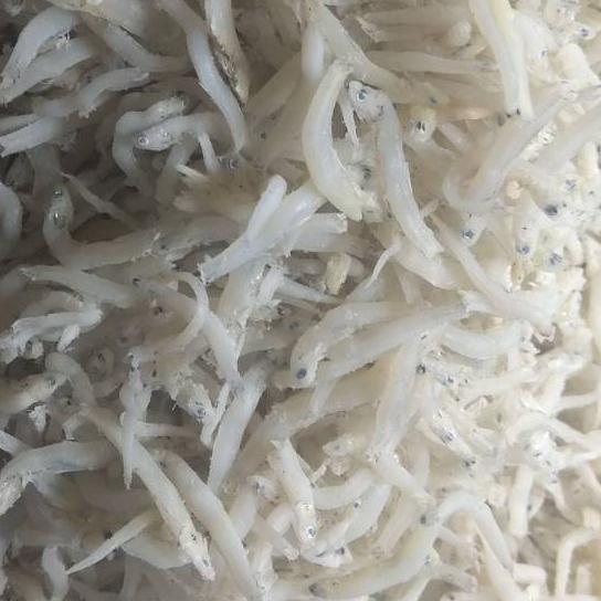 

Diskon✔️Teri toge super Medan no 1 ® 100% asli Medan,berat 500 gram|RA5
