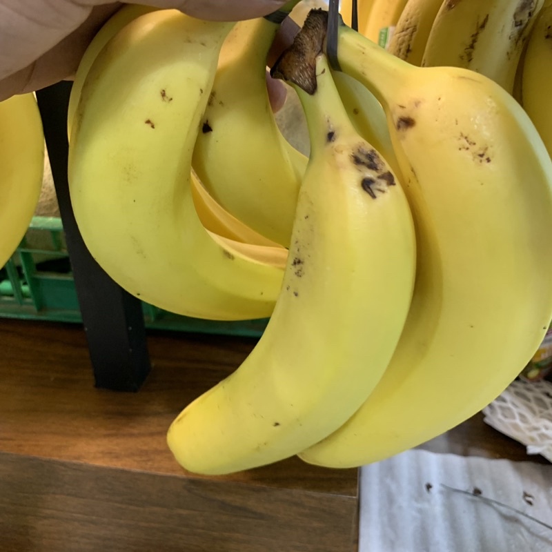 PISANG CAVENDISH SUNPRIDE Berat 900-1 Kg